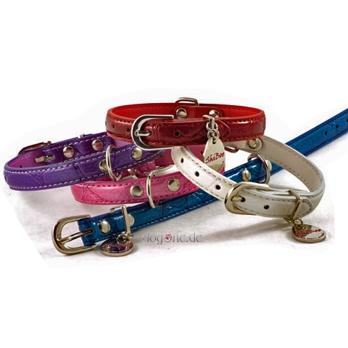 Hundehalsband Rainbow-S 25x1,5cm purple