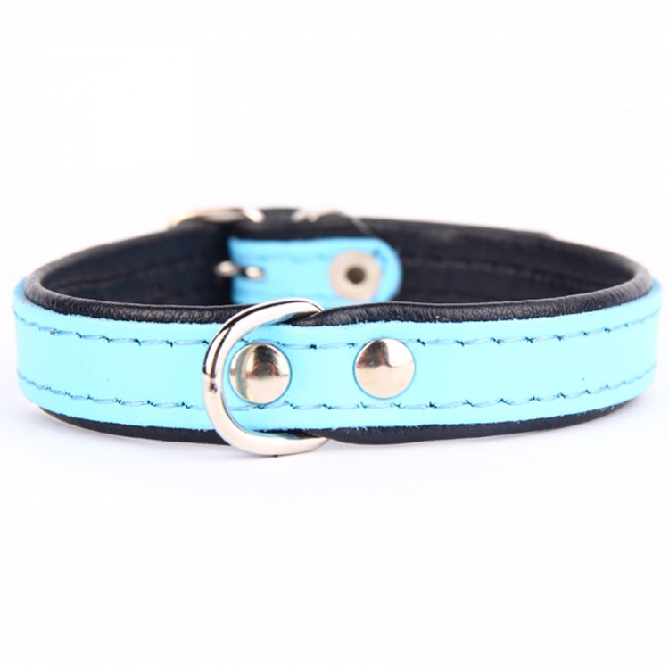Hundehalsband Leder Blue&Black basic hellblau-schwarz