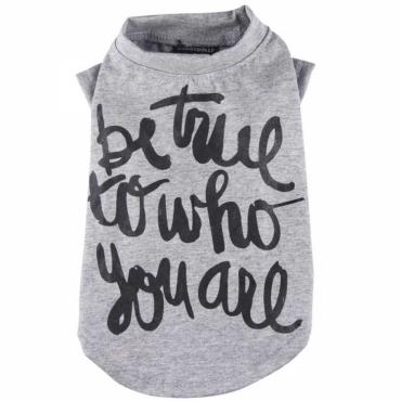 Hundeshirt Be True grau